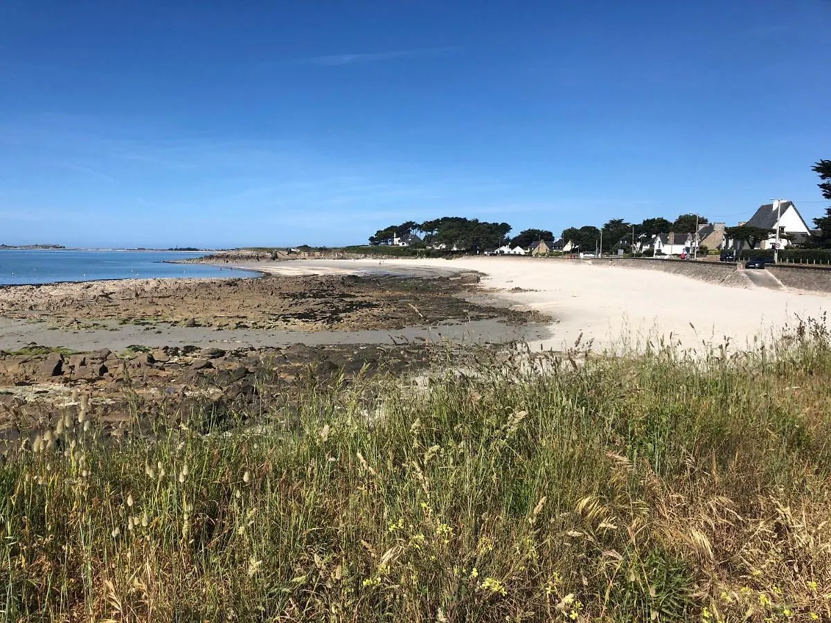 Carnac Plage T2 Avec Terrasse Pour 4 Personnes
